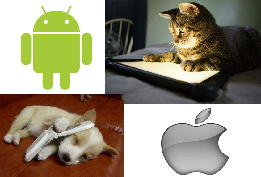 Le Migliori App per Cani e Gatti
