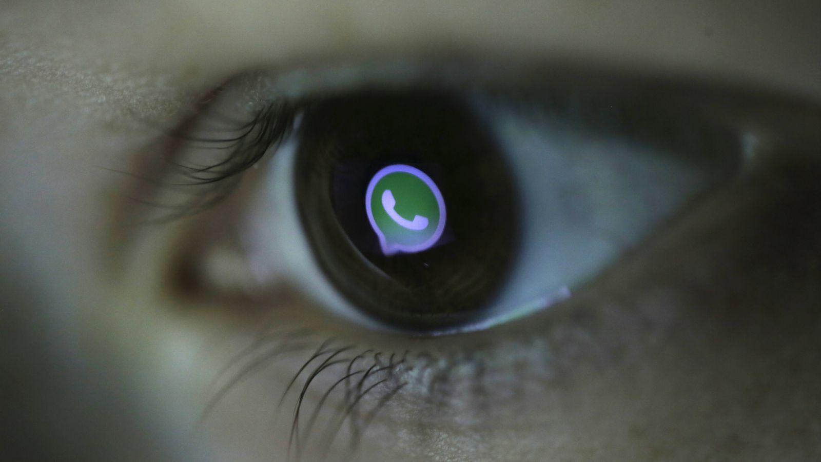 WhatsApp: 5 utili funzioni nascoste