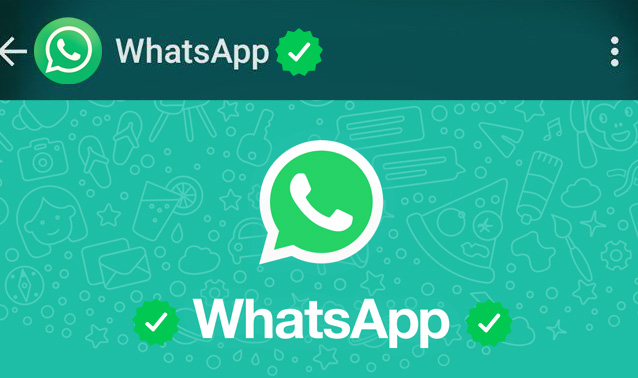 WhatsApp: la spunta verde per i profili verificati, che cos'è?