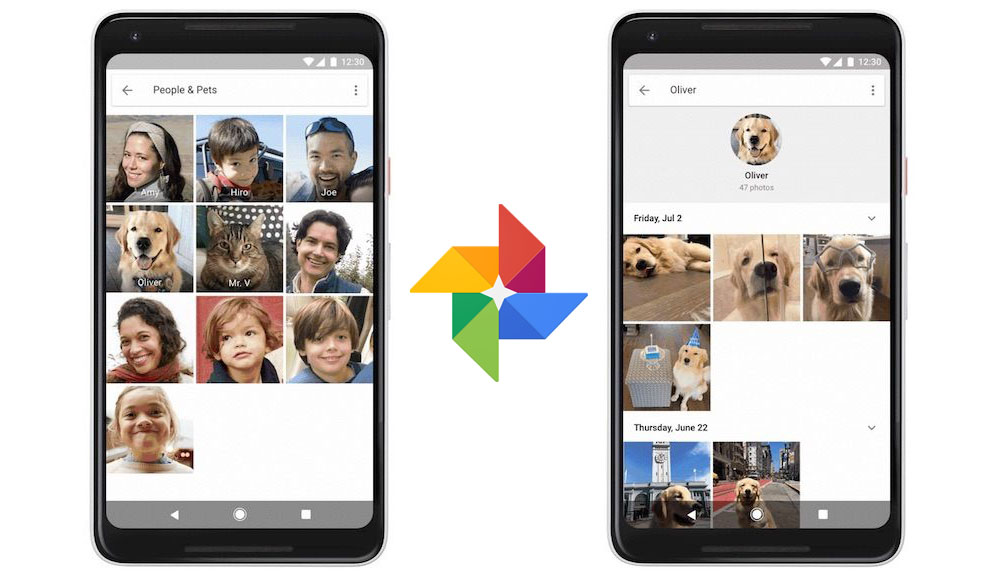 Google Foto è in grado di identificare tutte le foto di cani e gatti