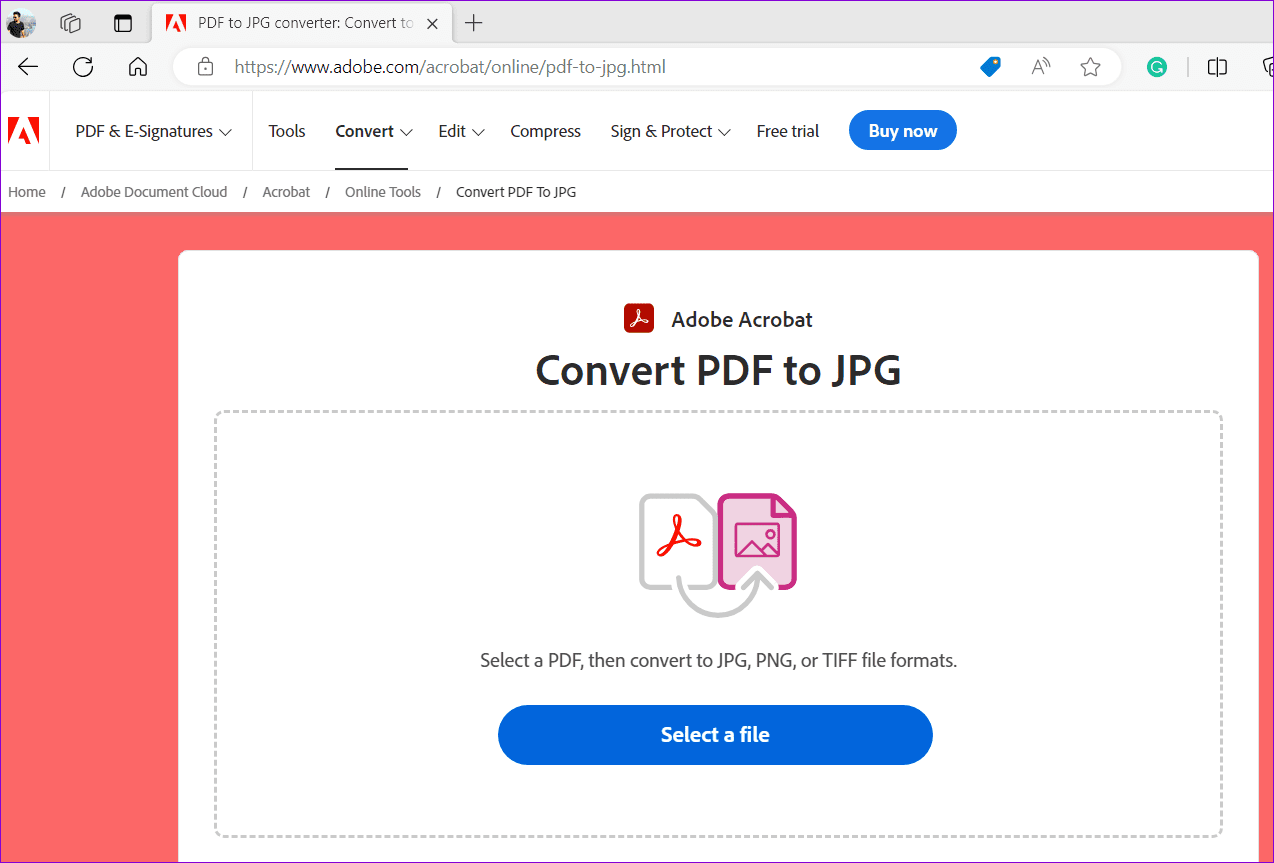 Strumento Adobe PDF in JPG