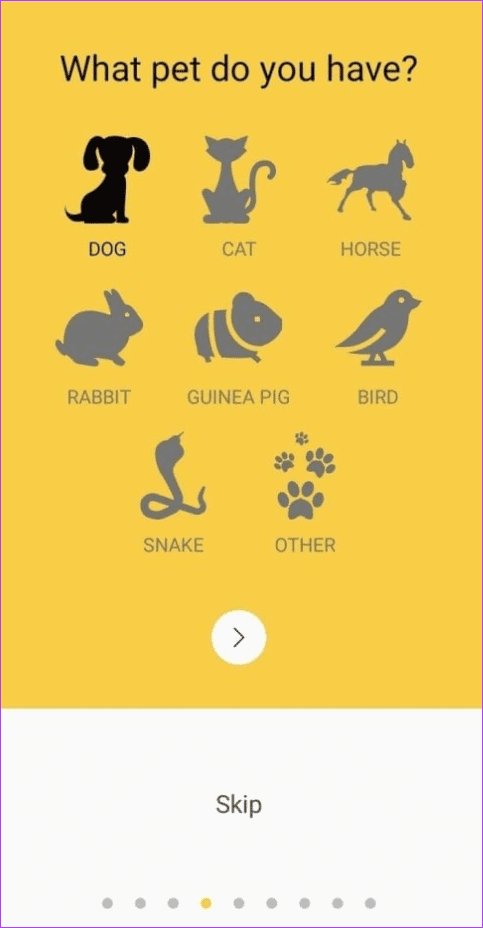 App 11 Pets