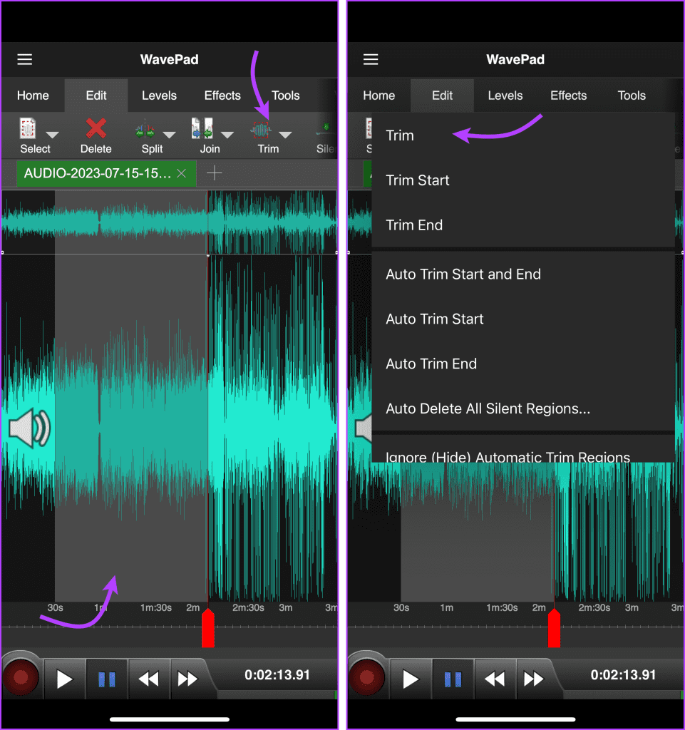 Ritaglia il Messaggio Audio di WhatsApp