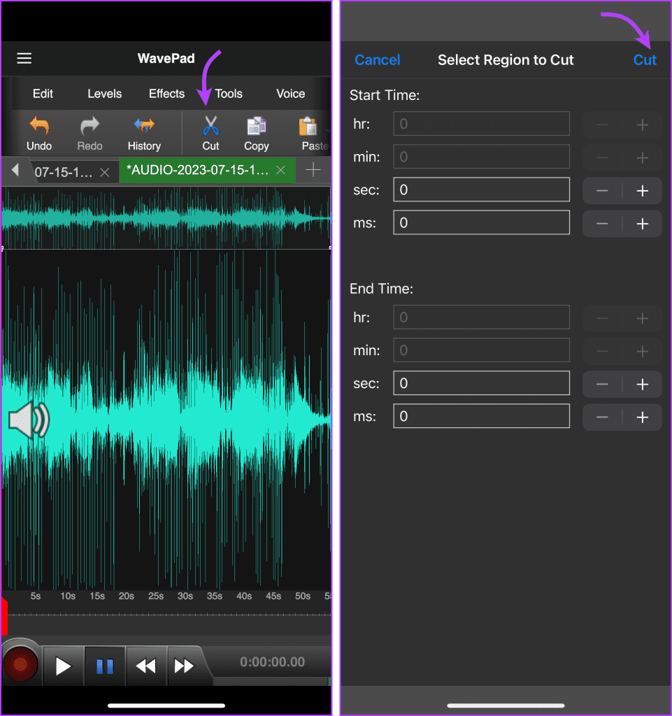 Tagliare Certe Porzioni dell'Audio