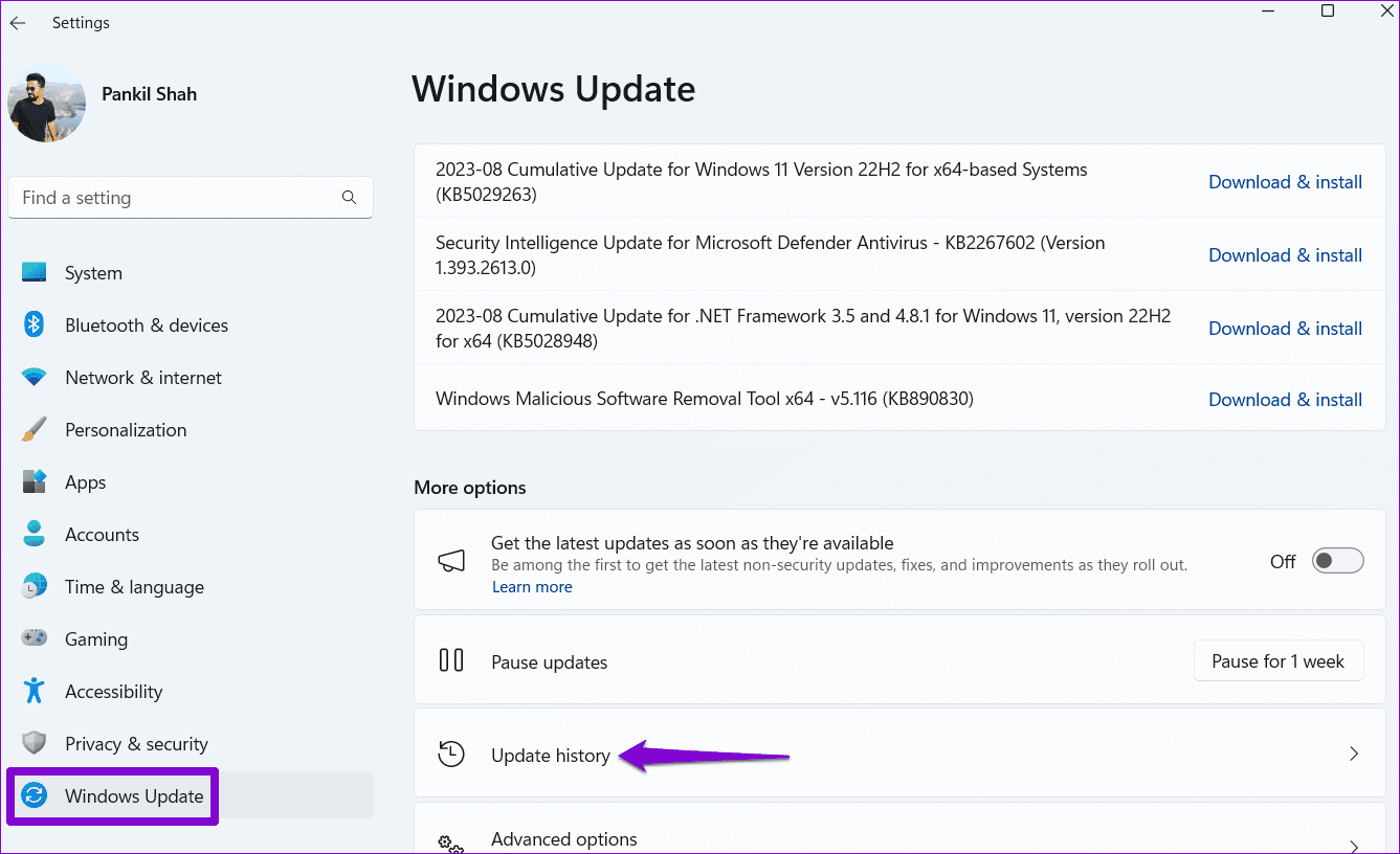 Cronologia Aggiornamenti su Windows