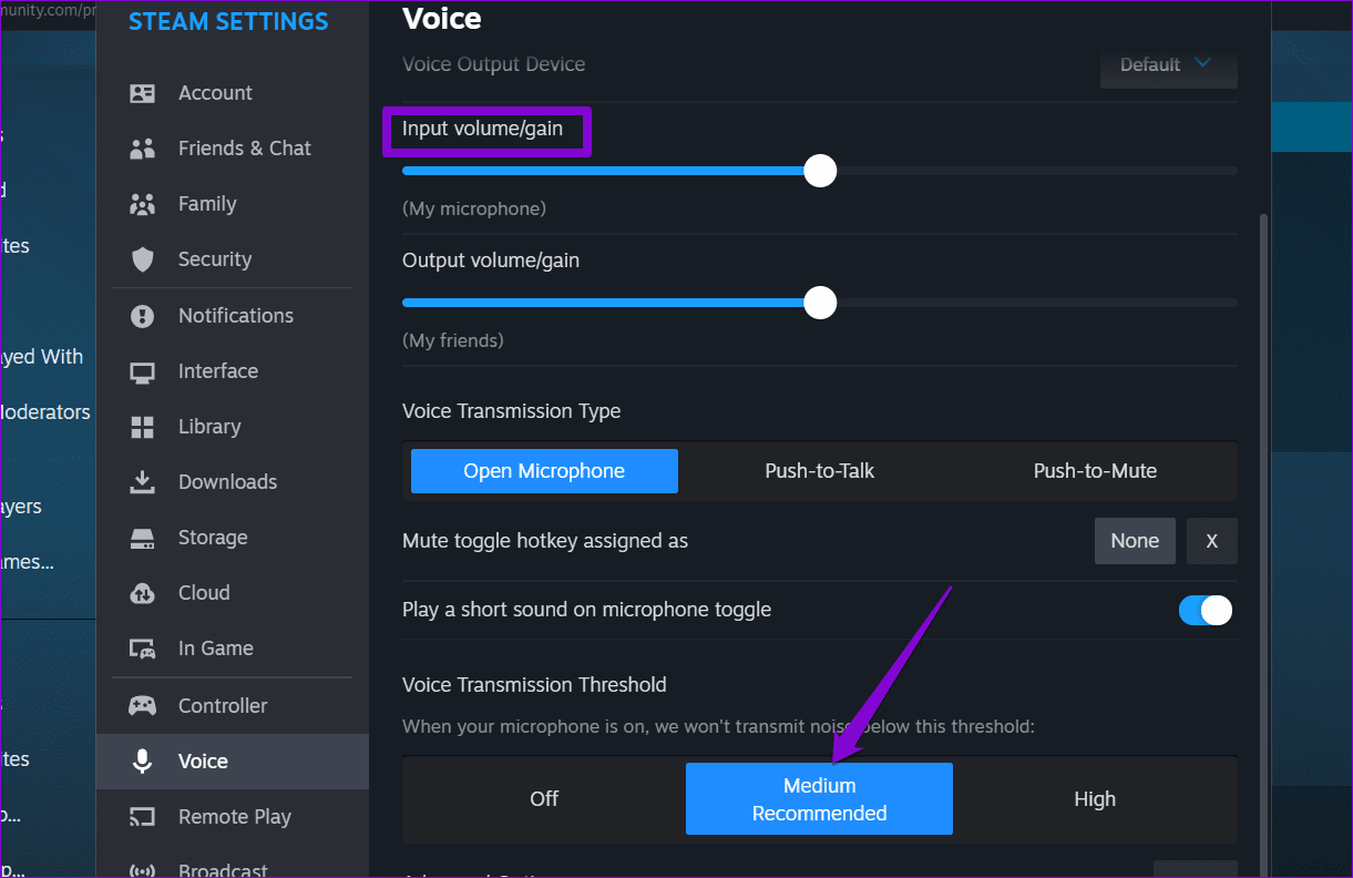 Impostazioni Voce Steam